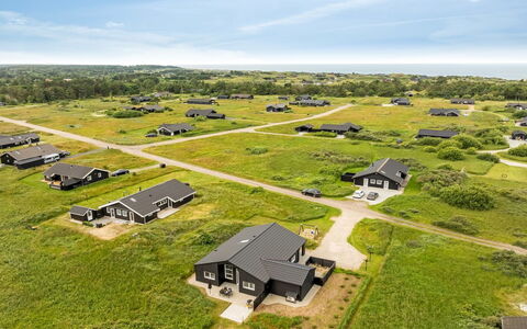 Grith - 1Km from the Sea: Planta De La Comunidad, Luz De Sol, Planta Herbácea, Jardín, Plantación, Agricultura, Granja