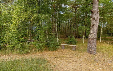 Helmtrud - 500M from the Sea: Hoja, Árbol, Entorno Natural, Hierba, Madera, Vegetación, Paisaje Natural, Bosque, Planta De La Comunidad, El Maletero