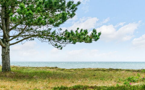 Djuna - 200M from the Sea: Cielo, Azul, Tiempo De Día, Verde, Vegetación, Verano, Horizonte, Ecorregión, Nube, Mar