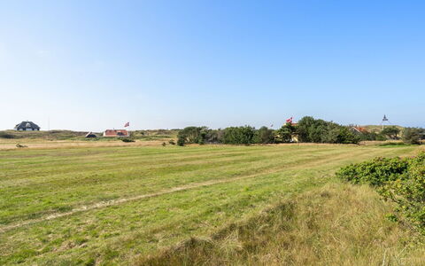 Jantje - 500M from the Sea: Cielo, Azul, Verde, Hierba, Entorno Natural, Pradera, Llanura, Campo, Ecorregión, Verano