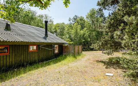 Osa - 150M from the Sea: Árbol, Hierba, Entorno Natural, Naturaleza, Hoja, Madera, Rama, Paisaje, Área Rural