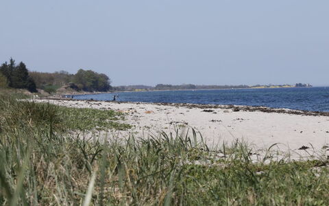 Bridgette - 100M from the Sea: Agua, Playa, Costa, Costeras Y Los Accidentes Geográficos Oceánico, Apuntalar, Mar, Horizonte, Arena, Oceano
