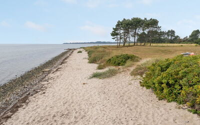 Cathalina - 75M from the Sea