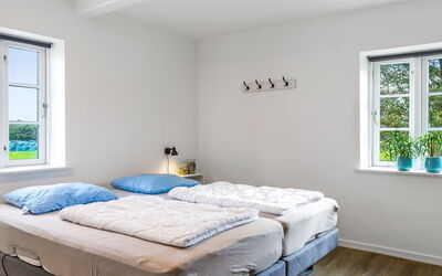 Dolfine - 15Km from the Sea