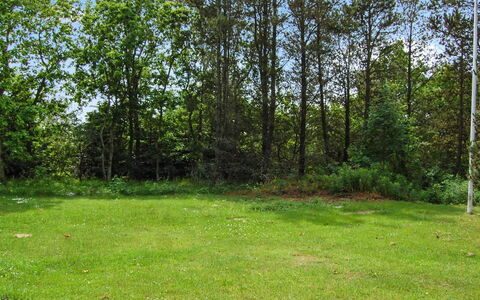 Annlouise - 300M from the Sea: Hoja, Hierba, Árbol, Verde, Entorno Natural, Pradera, Arbusto, El Terreno Del Lote, El Maletero