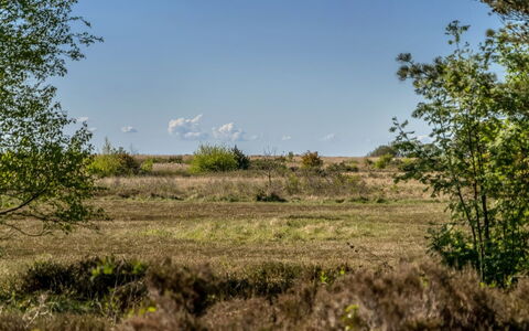 Annestine - 200M from the Sea: Cielo, Hierba, Entorno Natural, Vegetación, Pradera, Paisaje Natural, Ecorregión, Arbusto, Planta De La Comunidad, Llanura
