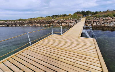 Faina - 100M from the Sea