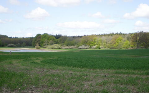 Thia - 4Km to the Fjord: Barrio Residencial, Techo, Suburbio, Entrada De Coches, Inmuebles, Tubo De Lámpara