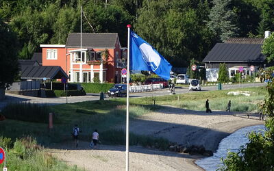Veselin - 100M from the Sea