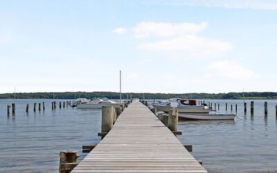 Veselin - 100M from the Sea