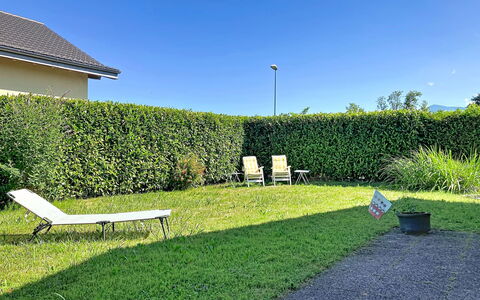 Dorenavant: Verde, Hierba, Arbusto, Cobertura, Jardín, Sombra, Cobertura Del Suelo, Césped, Yarda