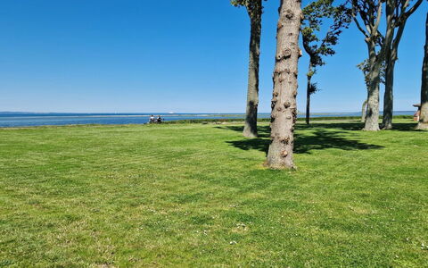 Emira - 50M from the Sea: Hierba, Pradera, Paisaje, Ecorregión, Llanura, Planta De La Comunidad, El Terreno Del Lote, Mueble Para Exteriores, Pradera, Shrubland