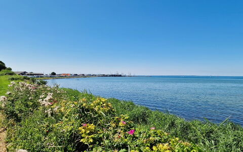Emira - 50M from the Sea: Hierba, Pradera, Paisaje, Ecorregión, Llanura, Planta De La Comunidad, El Terreno Del Lote, Mueble Para Exteriores, Pradera, Shrubland