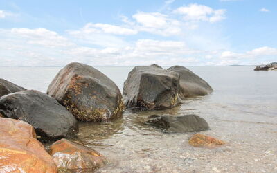 Radojka - 75M from the Sea
