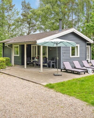Felisa - 300M from the Sea