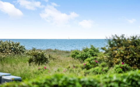 Emin - 100M from the Sea: Cielo, Azul, Tiempo De Día, Verde, Horizonte, Vegetación, Verano, Mar, Arbusto, Planta De La Comunidad