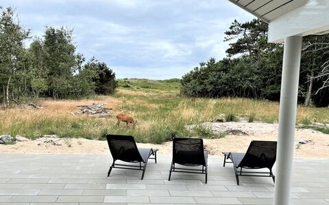 Jorn - 75M from the Sea: Casa, Techo, Casa, Cabaña, Cobertizo, Edificios Del Jardín, Vía Muerta, Yarda, Cuarto De Troncos, \Choza