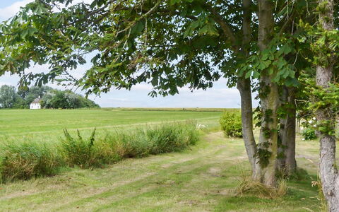 Juuso - 20Km from the Sea: Techo, Casa, Casa, Cabaña, Puerta, Vía Muerta, Cubierta, Porche, Tablón, Madera Dura