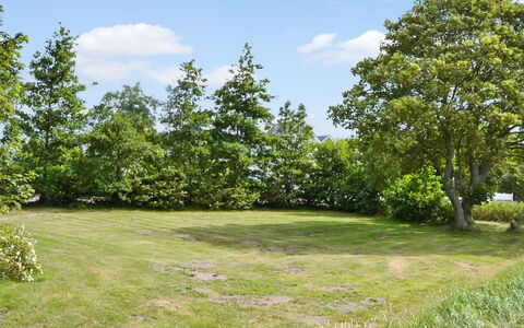 Juuso - 20Km from the Sea: Verde, Árbol, Hoja, Rama, Vegetación, Arbusto, Pradera, Planta De La Comunidad, Llanura