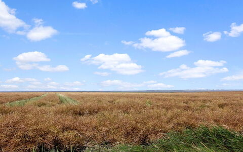 Skarpe: Hierba, Pradera, Paisaje, Ecorregión, Llanura, Planta De La Comunidad, El Terreno Del Lote, Mueble Para Exteriores, Pradera, Shrubland