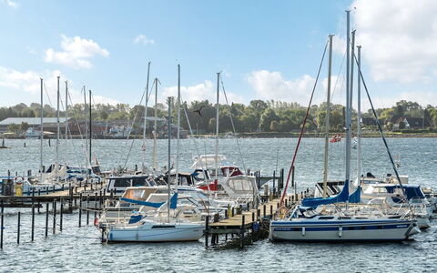 Joar - 5M to the Fjord: Barco, Azul, Agua, Cuerpo De Agua, Watercraft, Centro De Deportes Acuáticos, Barcos Y Canotaje - Efectos Y Equipo, Camino Acuático, Muelle, Puerto