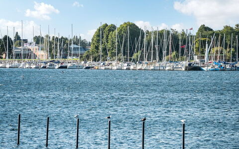Joar - 5M to the Fjord: Azul, Agua, Camino Acuático, Barco, Centro De Deportes Acuáticos, Watercraft, Mástil, Canal, Lago, Puerto