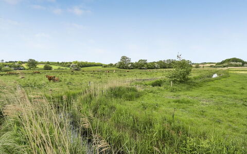 Sigbritt - 100M from the Sea: Cielo, Hierba, Pradera, Entorno Natural, Verde, Ecorregión, Vegetación, Paisaje Natural, Nube, Llanura