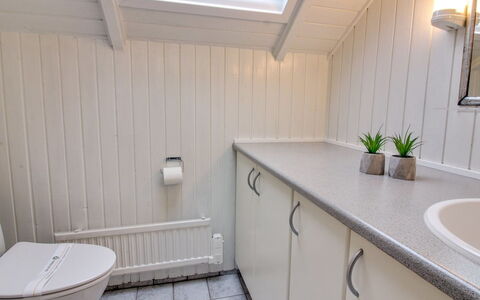 Sebiorn - 300M to the Fjord: Arreglo De Tubería, Piso, Lavabo, Baño, Suelo, Grifo, Diseño De Interiores, Plomería, Lavabo Del Baño, Mueble De Baño