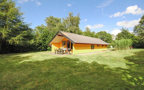 Naema - 600M to the Fjord: 