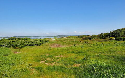 Eloise - 50M to the Fjord: Cielo, Azul, Verde, Hierba, Pradera, Vegetación, Paisaje Natural, Nube, Horizonte, Ecorregión