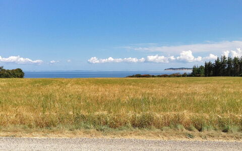 Kaleva - 200M to the Fjord: Azul, Hierba, Nube, Horizonte, Pradera, Paisaje Natural, Llanura, Ecorregión, Campo, Pradera