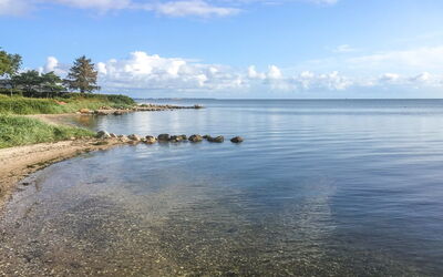 Regni - 300M to the Fjord