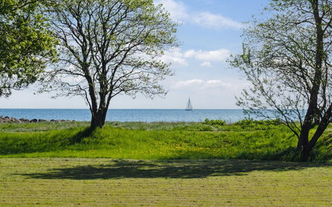 Elba - 100M from the Sea: Piscina, Mueble Para Exteriores, Mueble, Recurso, Losa, Eco Hotel, Sombra, Silla, Ocio, Inmuebles