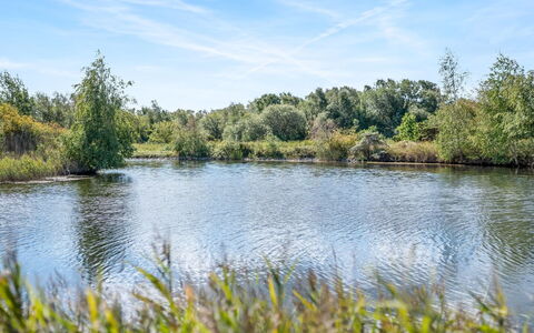 Milo - 5M from the Sea: Cielo, Azul, Agua, Los Recursos Hídricos, Cuerpo De Agua, Naturaleza, Entorno Natural, Verde, Paisaje Natural, Vegetación
