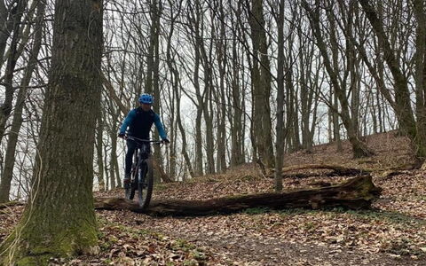 Eva - 1.5Km to the Fjord: Rueda De Bicicleta, Bicicleta, Árbol, Rueda, Bicicleta De Montaña