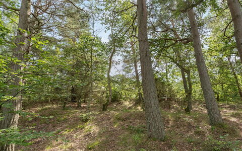 Ros - 350M from the Sea: Hierba, Edificio, Casa, Techo, Casa, Barrio Residencial, Cabaña, El Terreno Del Lote, Área Rural, Césped