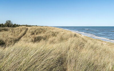 Jeldrik - 100M from the Sea