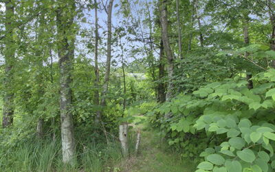 Gerasim - 400M from the Sea