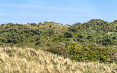 Randulf - 450M from the Sea