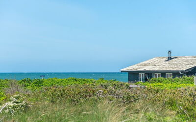 Hubert - 150M from the Sea