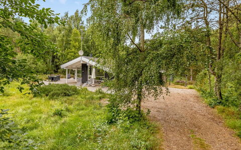 Ran - 600M from the Sea: Árbol, Rama, Vegetación, Arbusto, Primavera, Bosque, El Maletero, Jardín, Sendero, Edificios Del Jardín