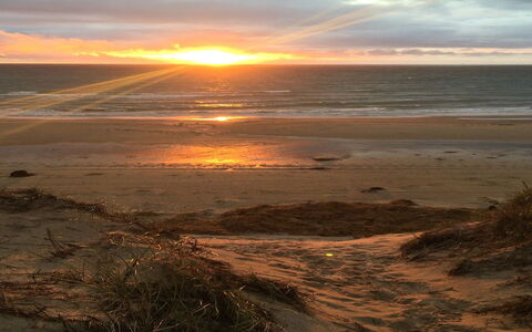 Gerulf - 600M from the Sea: Madera, Techo, Casa, Cabaña, Puerta, Casa, Vía Muerta, El Terreno Del Lote, Edificios Del Jardín, Cobertizo