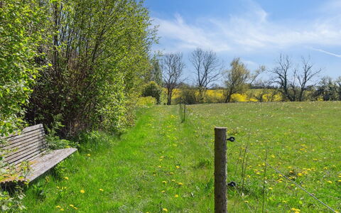 Bjarke - 200M from the Sea: Azul, Arbusto, Cabaña, Cobertura Del Suelo, Jardín, Inmuebles, Sombra, Paisajismo, Casa De Campo, Eco Hotel