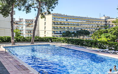 Alojamiento:&nbsp;Mariposa 709.6