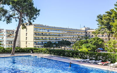 Alojamiento:&nbsp;Mariposa 709.6