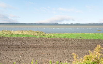 Kielo - 10Km from the Sea