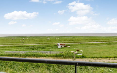 Anthonie: Hierba, Pradera, Paisaje, Ecorregión, Llanura, Planta De La Comunidad, El Terreno Del Lote, Mueble Para Exteriores, Pradera, Shrubland