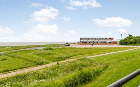 Anthonie: Hierba, Pradera, Paisaje, Ecorregión, Llanura, Planta De La Comunidad, El Terreno Del Lote, Mueble Para Exteriores, Pradera, Shrubland