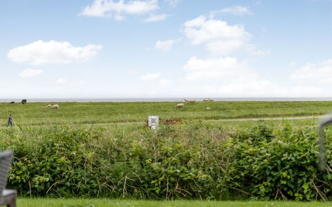 Anthonie: Hierba, Pradera, Paisaje, Ecorregión, Llanura, Planta De La Comunidad, El Terreno Del Lote, Mueble Para Exteriores, Pradera, Shrubland