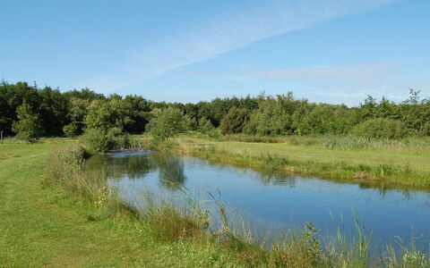 Jani - 25Km from the Sea: Agua, Cuerpo De Agua, Los Recursos Hídricos, Entorno Natural, Pantano, Pradera, Paisaje Natural, Corriente De Agua, Banco